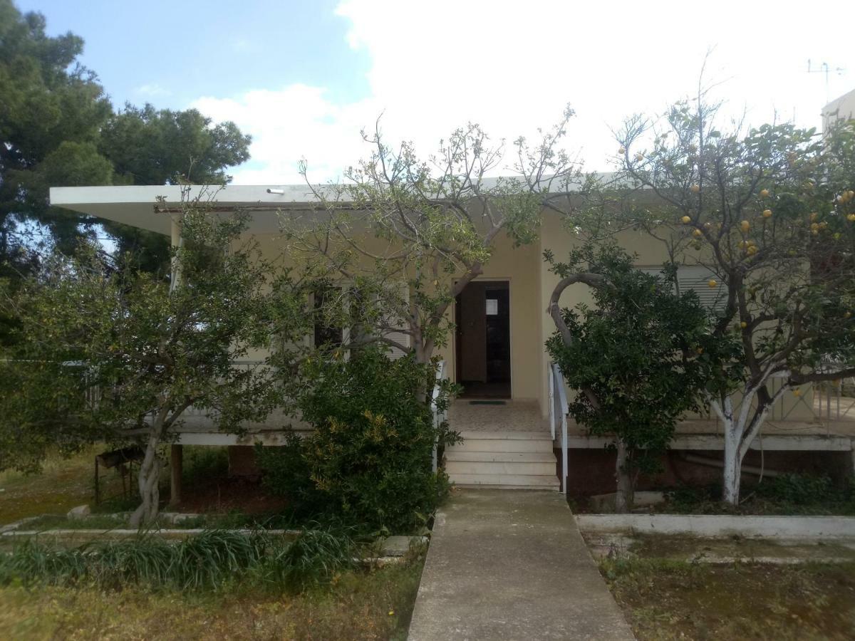 Vangelis House Near Athens Airport Artemida  Bagian luar foto