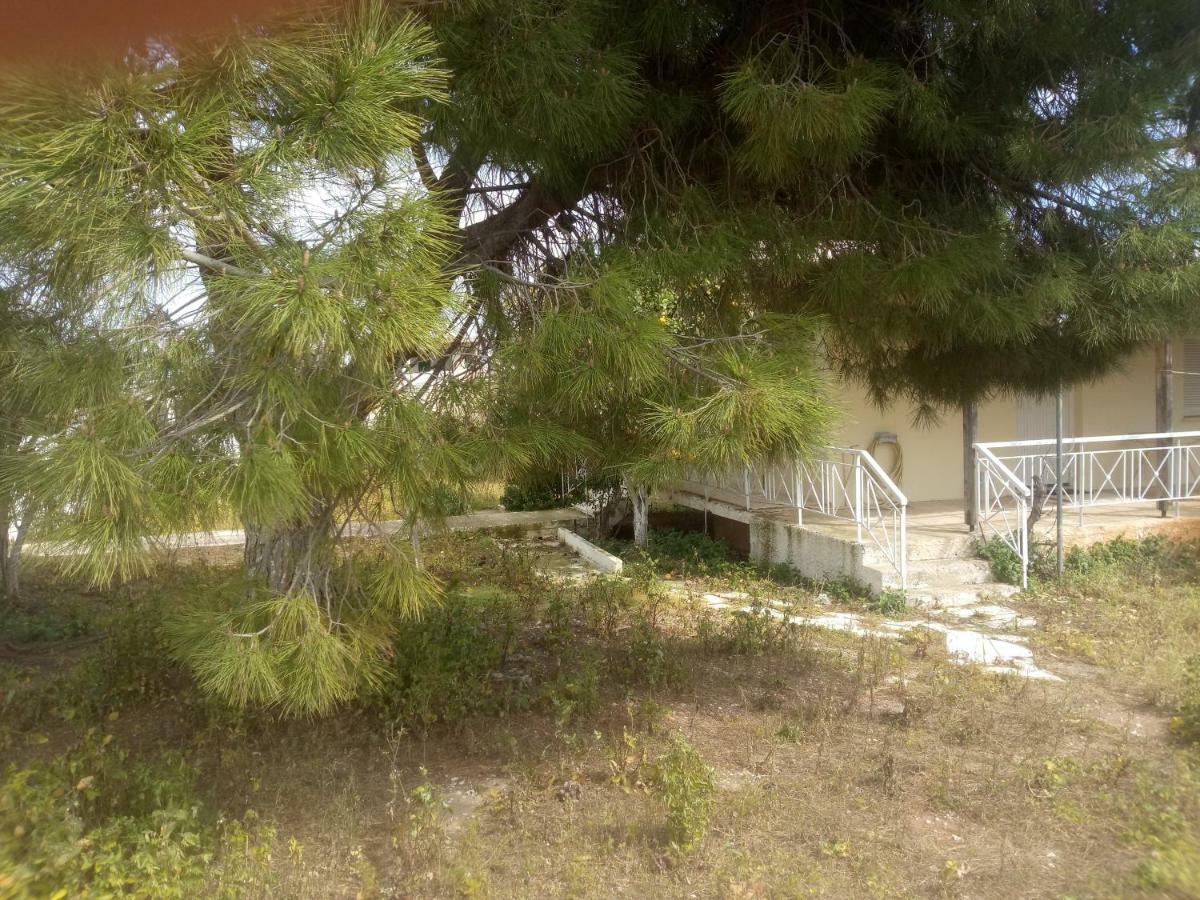 Vangelis House Near Athens Airport Artemida  Bagian luar foto